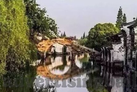 大象传媒视频2022-大象传媒视频，2022年内容创新与影响力扩展的深度观察